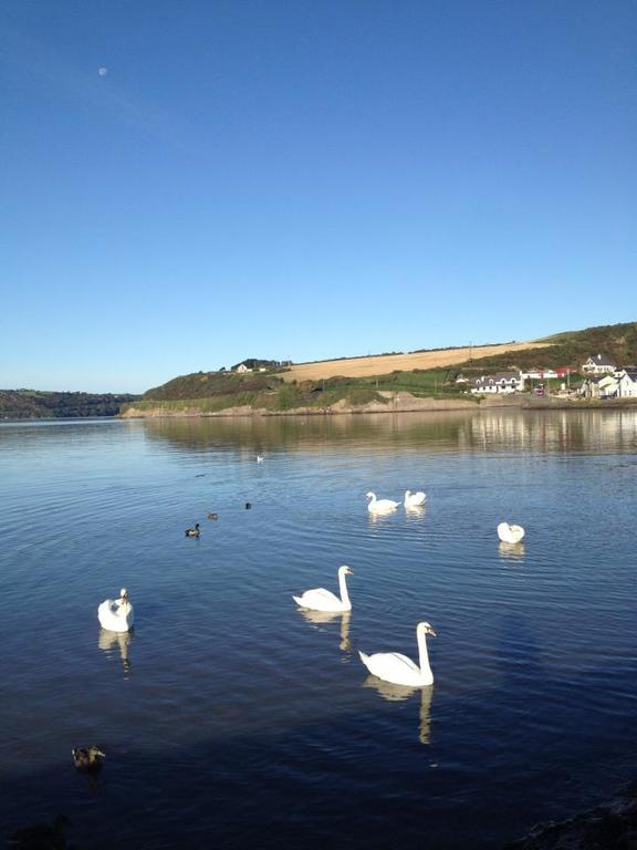 Marsh Mere Lodge Arthurstown Exteriör bild